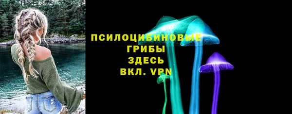 эйфоретик Богородск