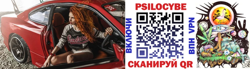 Галлюциногенные грибы мухоморы  Гай 