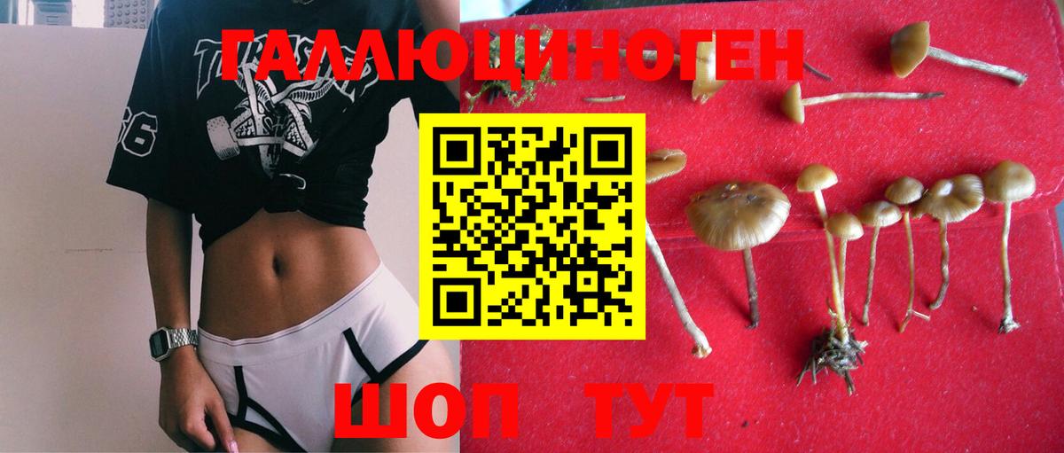 Псилоцибиновые грибы ЛСД Гай