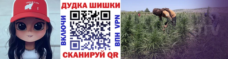даркнет сайт  Гай  Марихуана планчик 